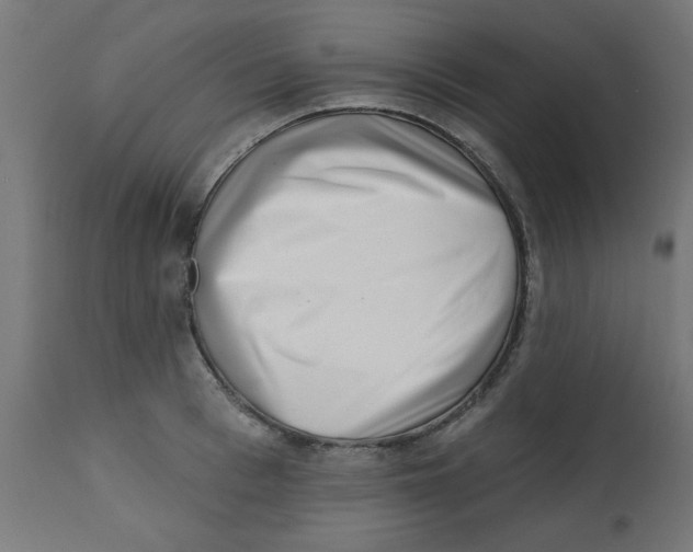 X0000113200993200910081247