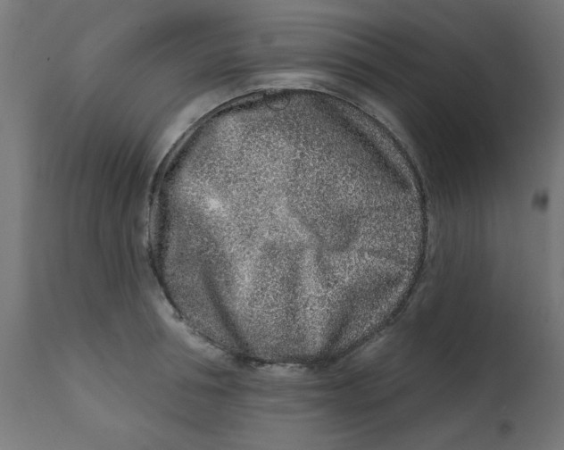 X0000113200994200910081247