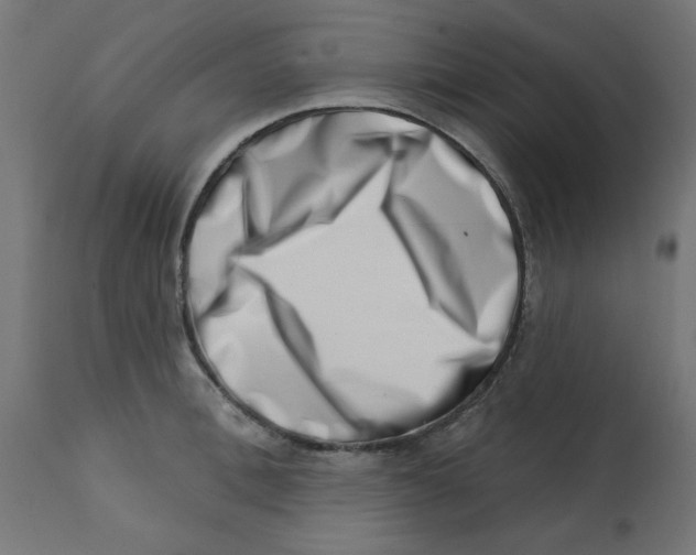 X0000113200996200910081247