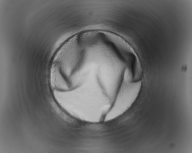 X0000113200998200910081247