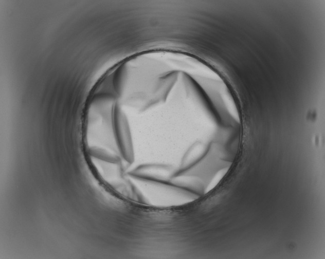 X0000113200999200910081247