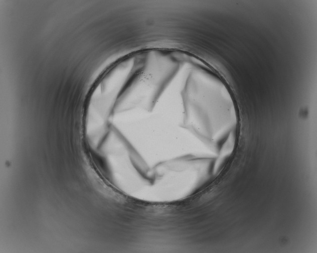 X0000113201000200910081247