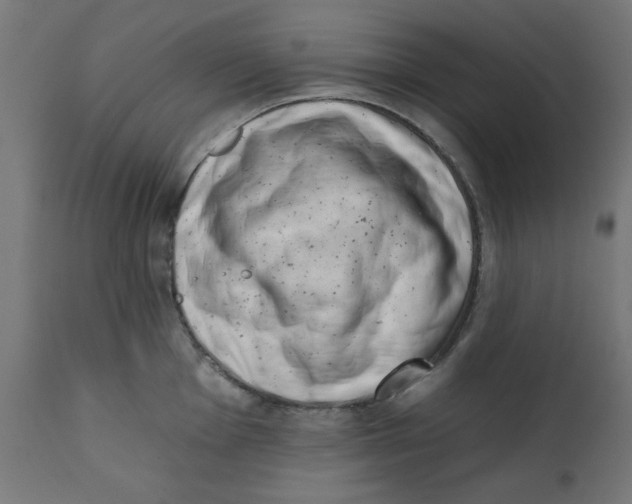 X0000113201001200910081247