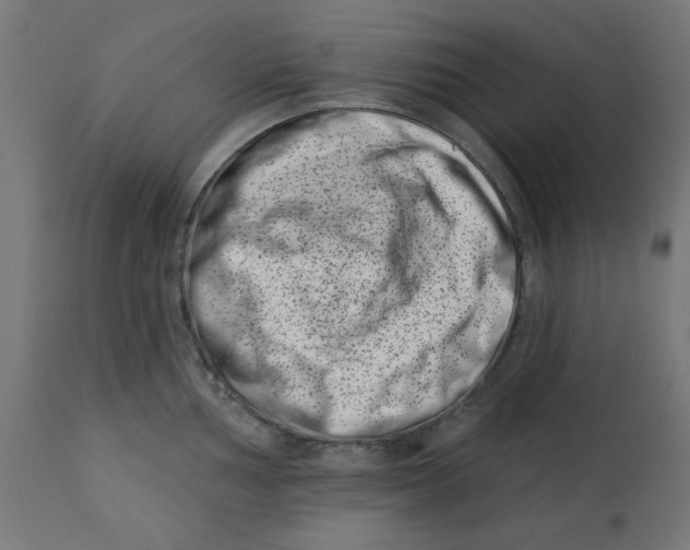 X0000113201002200910081247