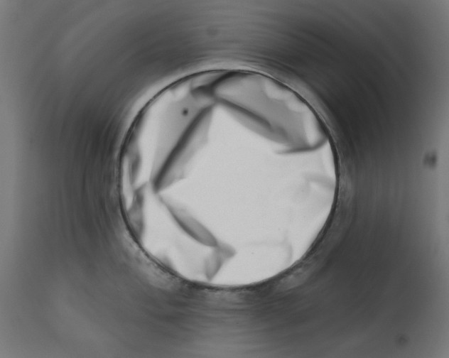 X0000113201004200910081247
