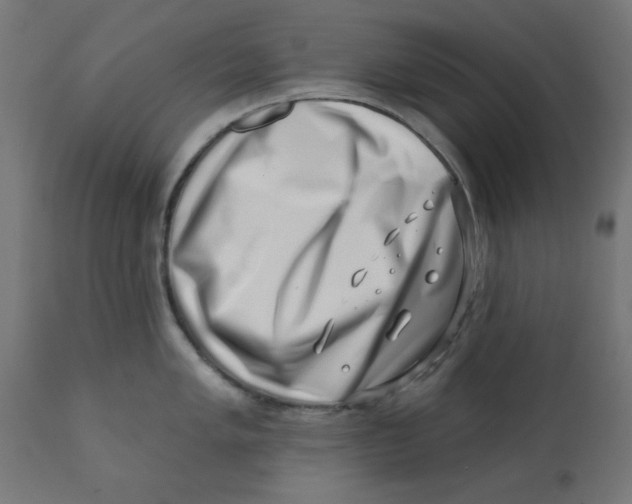 X0000113201005200910081247