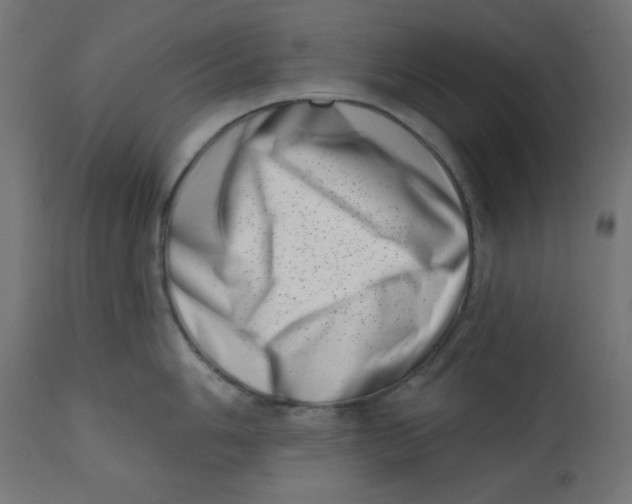 X0000113201006200910081247