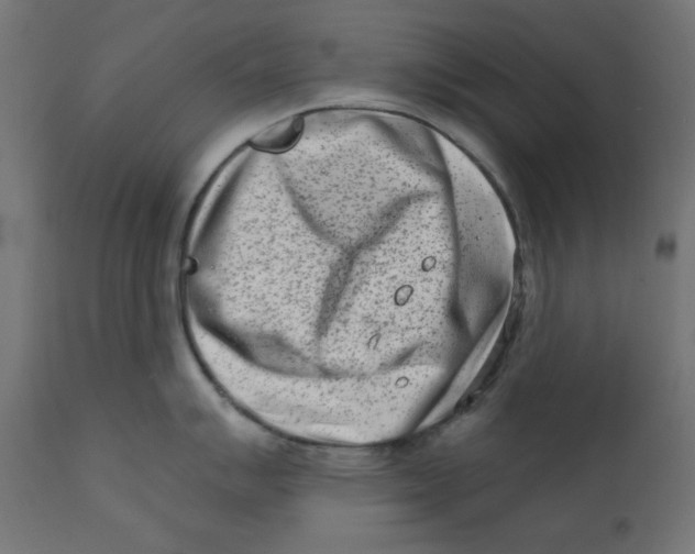 X0000113201007200910081247