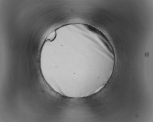 X0000113201008200910081247