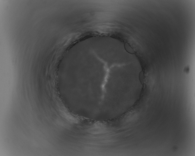 X0000113201009200910081246
