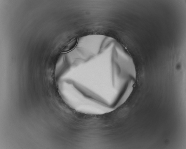 X0000113201010200910081246