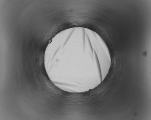 X0000113201012200910081246
