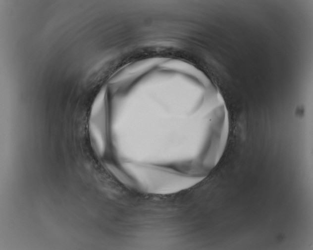 X0000113201014200910081246