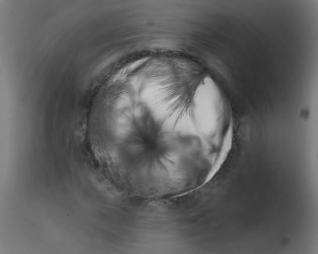 X0000113201015200910081246