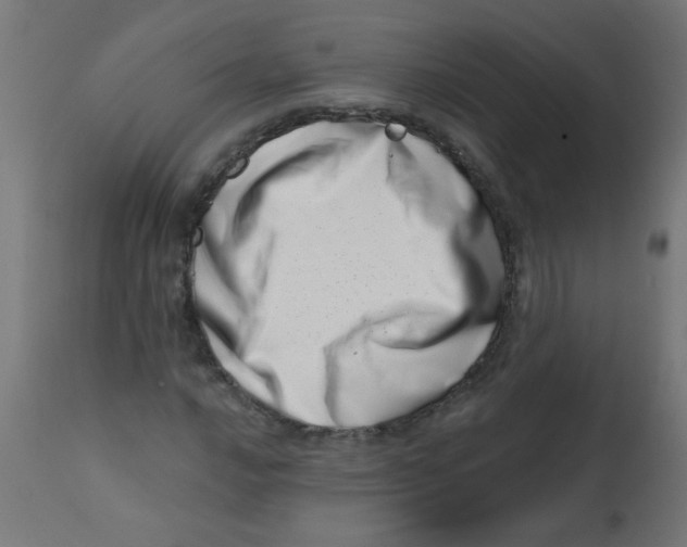 X0000113201016200910081246