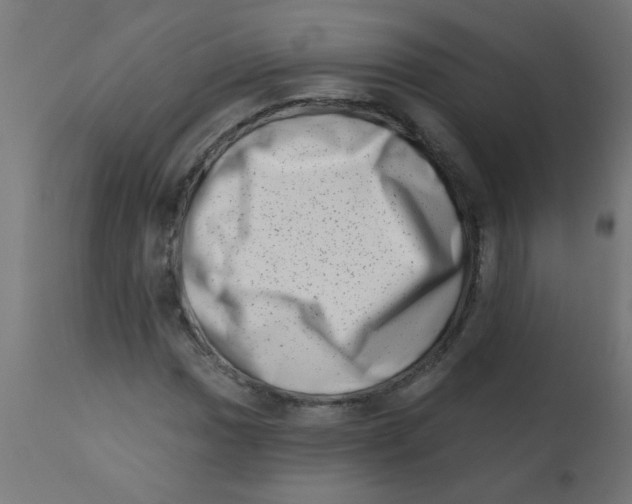 X0000113201017200910081246