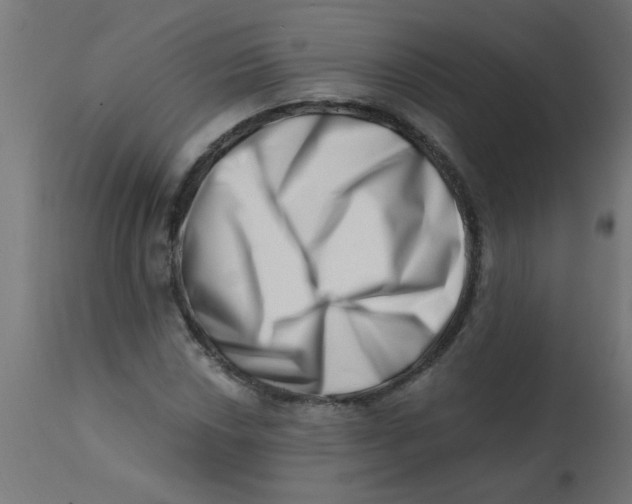 X0000113201018200910081246