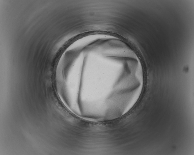 X0000113201019200910081246