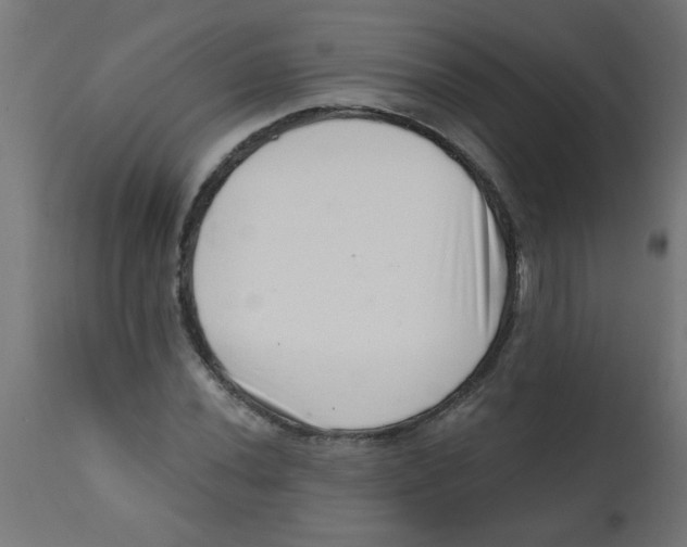 X0000113201020200910081246