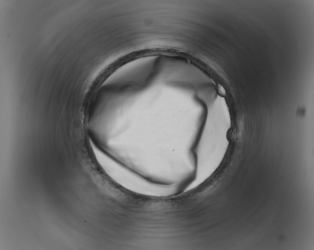 X0000113201021200910081246