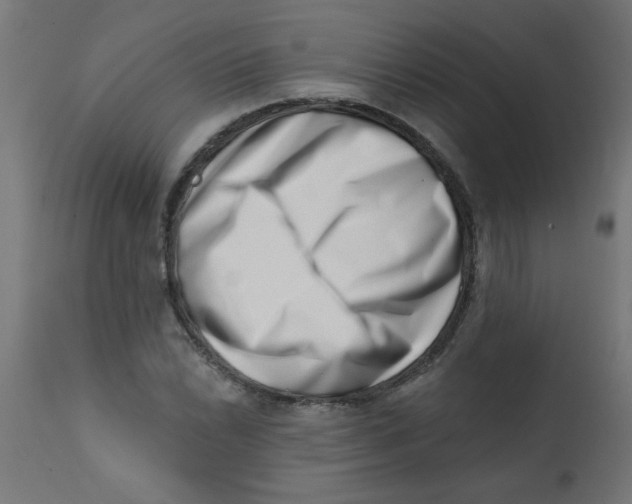 X0000113201022200910081246