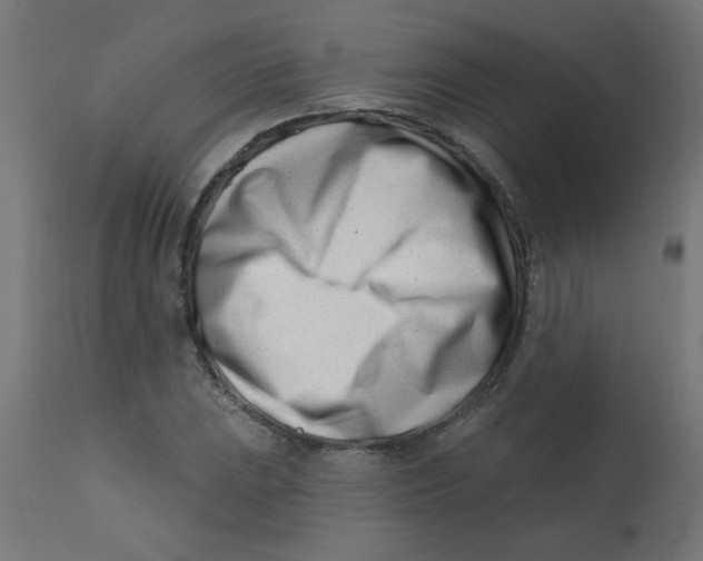 X0000113201023200910081246