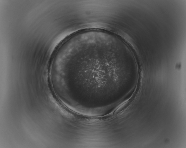 X0000113201024200910081246