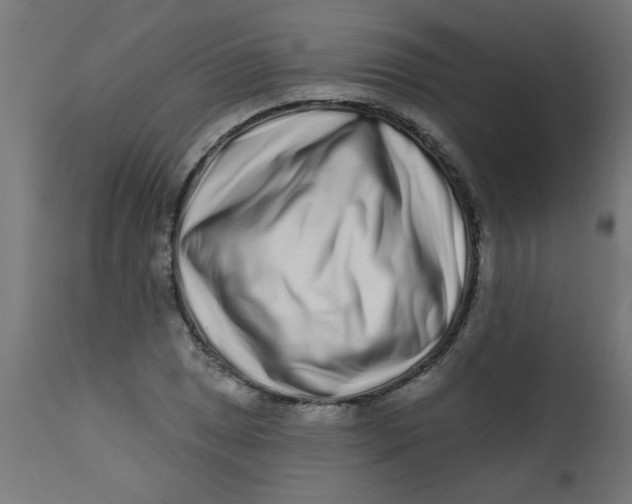 X0000113201025200910081246