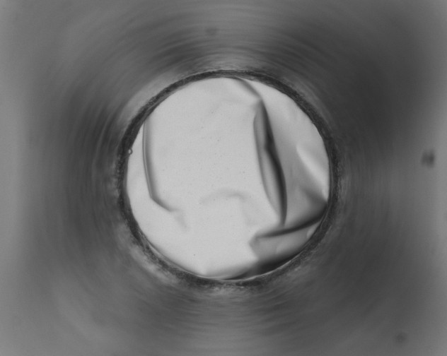 X0000113201026200910081246