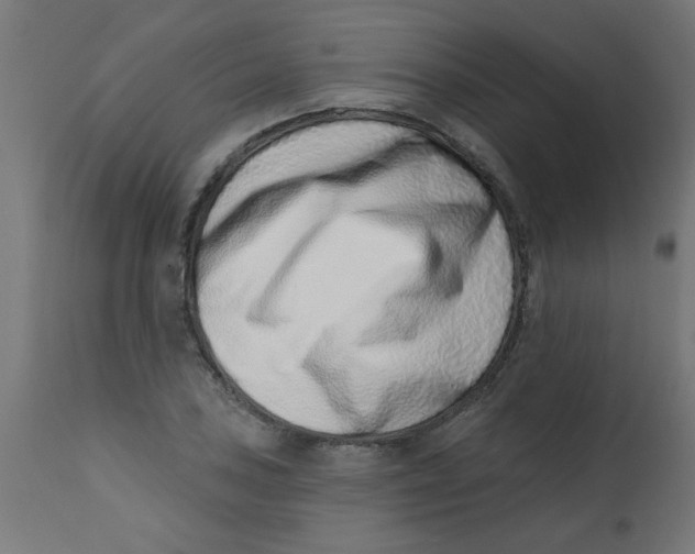 X0000113201027200910081246