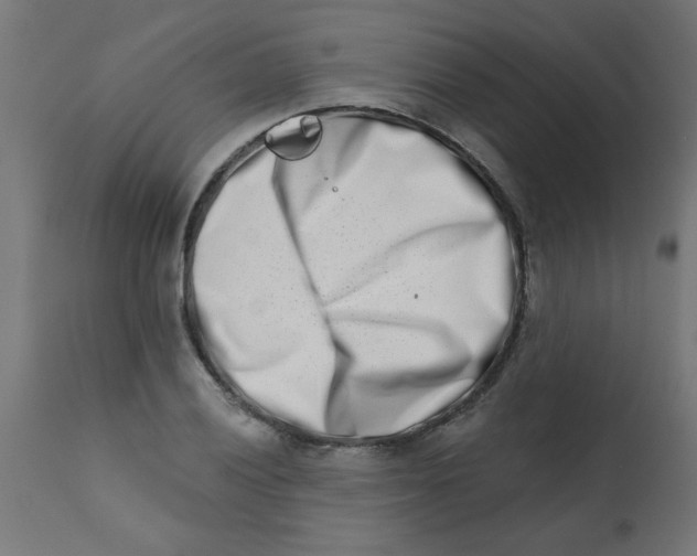 X0000113201028200910081246