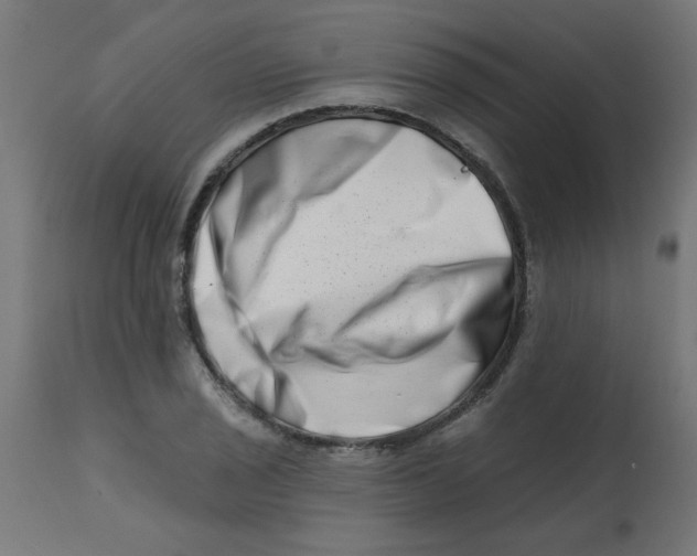 X0000113201029200910081246
