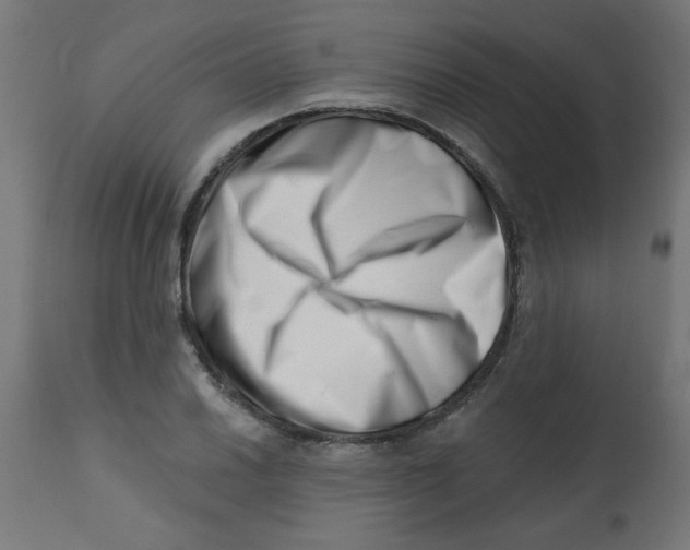 X0000113201030200910081246