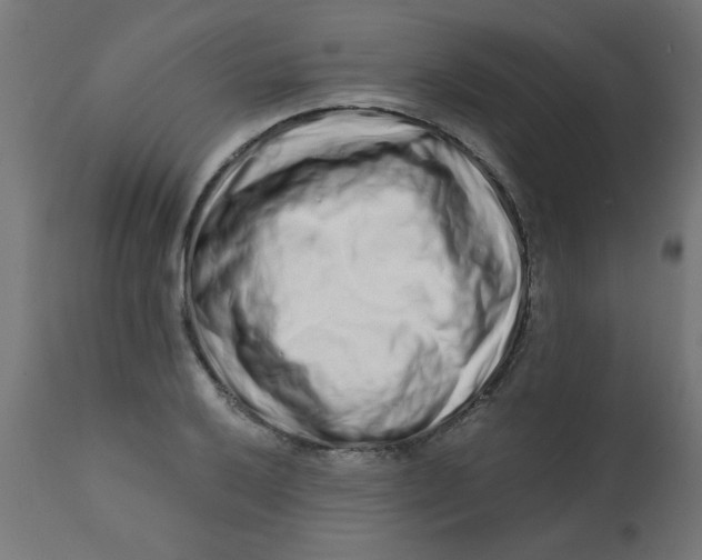 X0000113201032200910081246