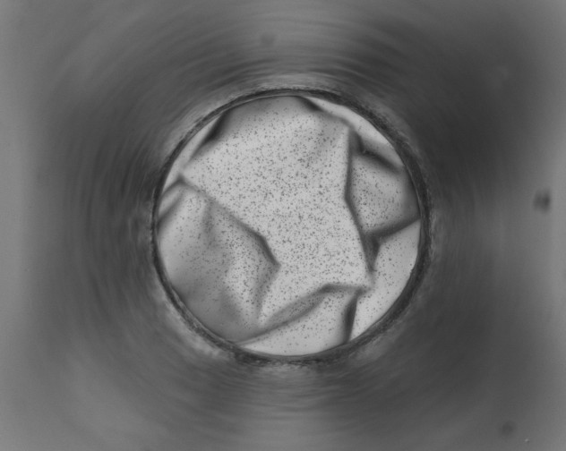 X0000113201033200910081246
