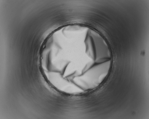 X0000113201034200910081246