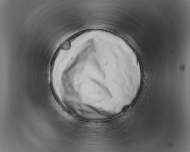 X0000113201036200910081246