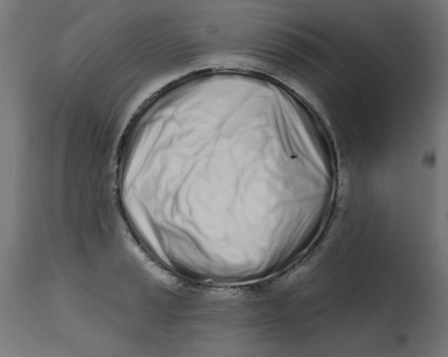 X0000113201037200910081246