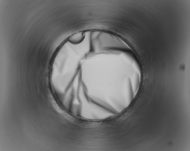 X0000113201038200910081246