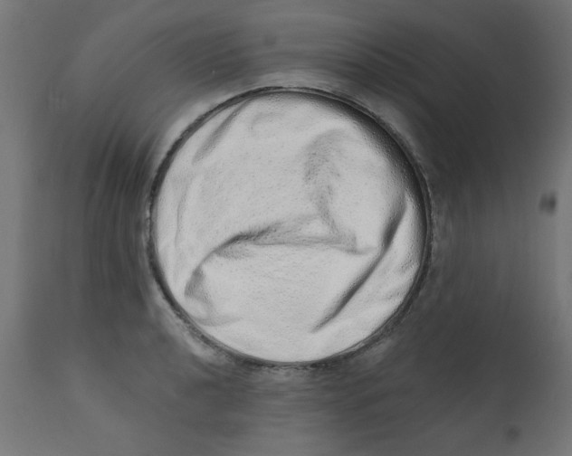 X0000113201040200910081246