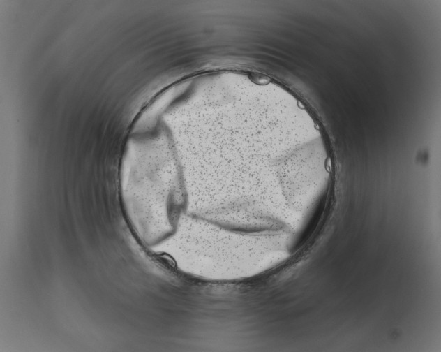 X0000113201041200910081246