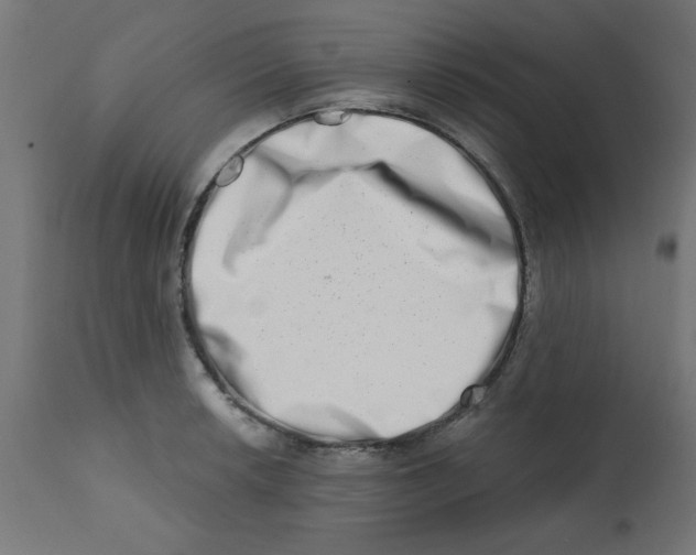 X0000113201042200910081246