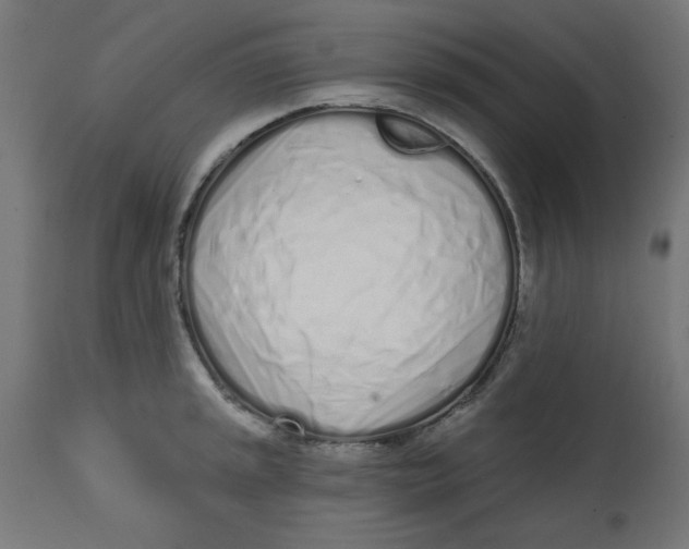 X0000113201045200910081247