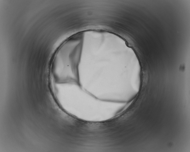 X0000113201046200910081247