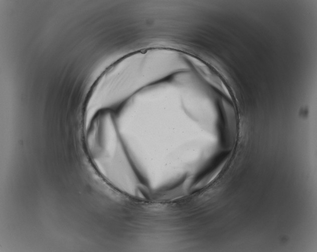 X0000113201048200910081247