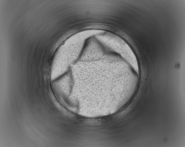 X0000113201049200910081247