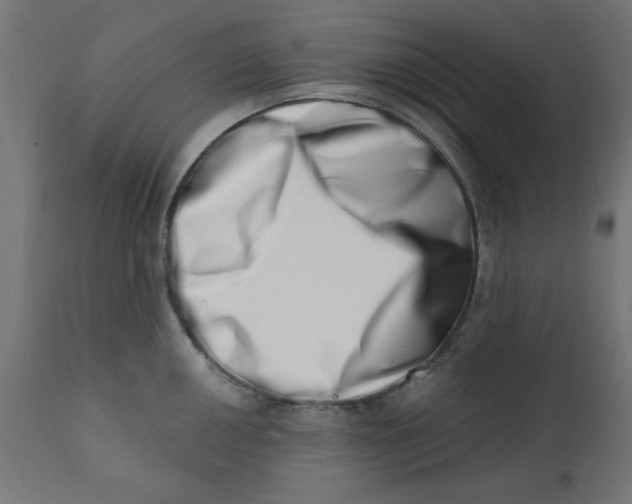 X0000113201050200910081247