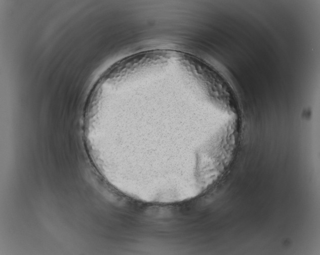 X0000113201051200910081247