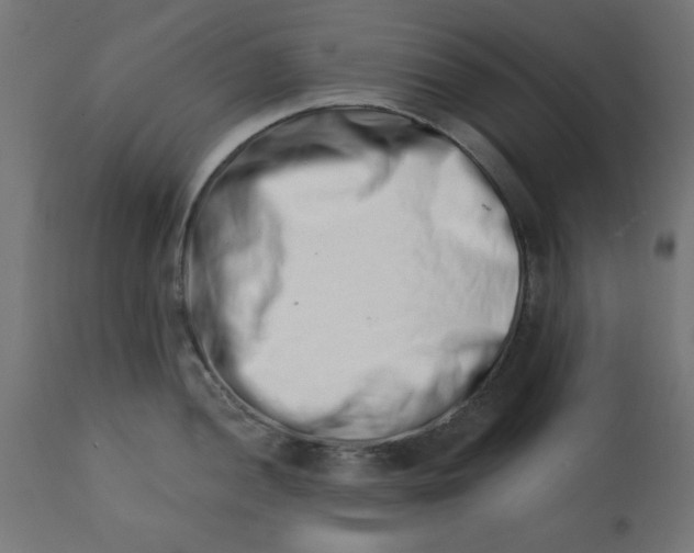 X0000113201052200910081247