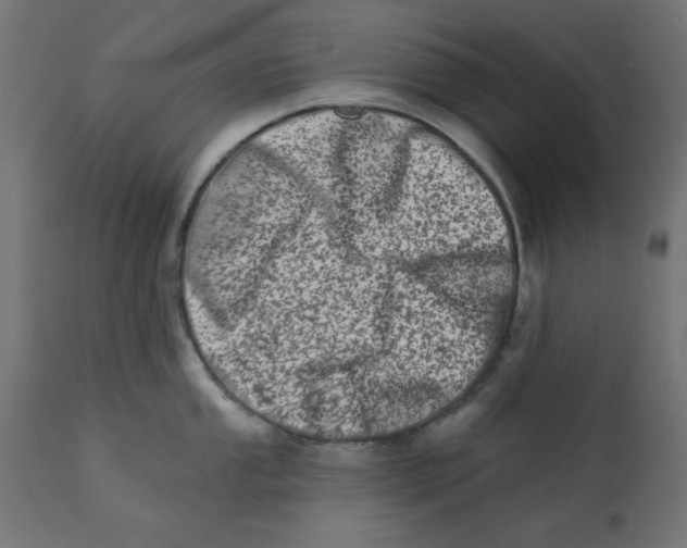 X0000113201053200910081247